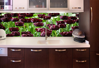 Fototapeta zástena - Purpurové tulipány 3136